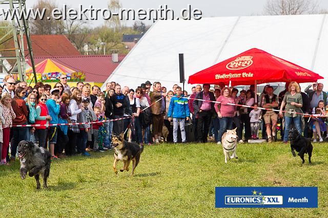 D - Foto Laudi Samstag -8128.JPG